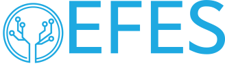 EFES Software